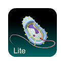 Bacteria Guide Lite Chrome extension download