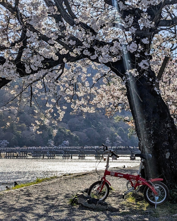 の投稿画像1枚目