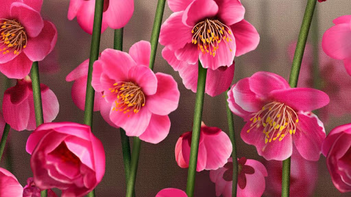 免費下載個人化APP|Flowers Live Wallpaper app開箱文|APP開箱王