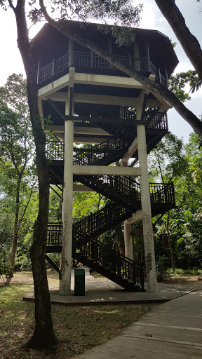 Mangrove Observatory Tower