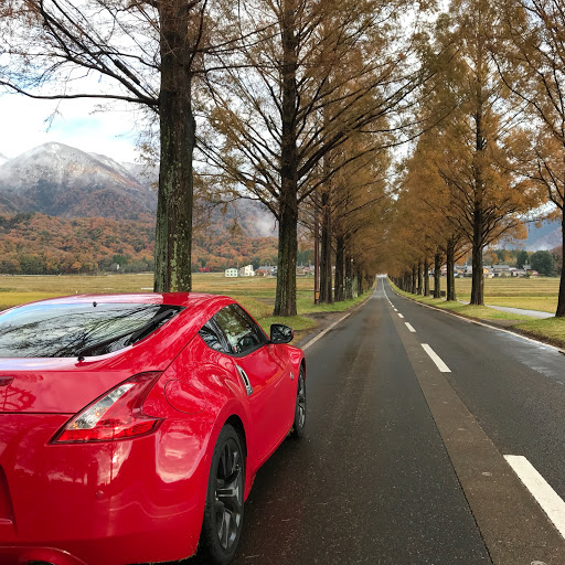 torotoroのプロフィール画像