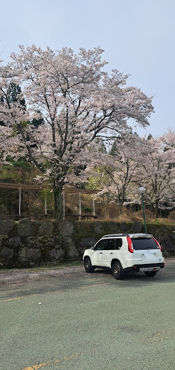 エクストレイルの阿蘇・高森町・サクラミチ・フォロワーさんとコラボ♪に関するカスタム事例の投稿画像9枚目