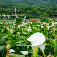 3口四方咖啡館(財福海竽田)