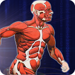 Cover Image of ダウンロード Human Anatomy Quiz Pro Test Your Knowledge Trivia 1.2 APK