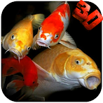 Cover Image of 下载 Koi HD Video Live Wallpaper 5.0 APK