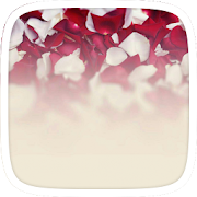 Red White Flowers  Icon