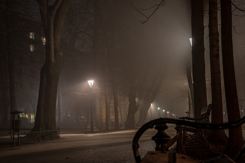 a park in the fog di antonioleo