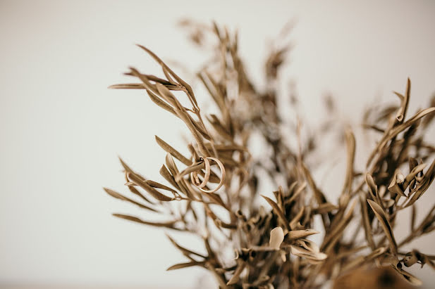 Fotografo di matrimoni Stela Horvat (stelahorvat). Foto del 24 novembre 2019