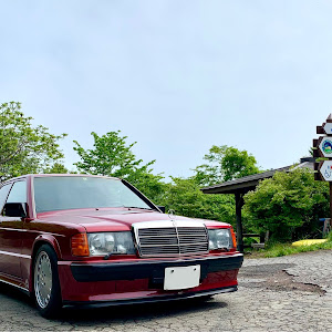 190シリーズ W201