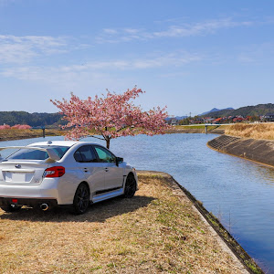 WRX S4 VAG