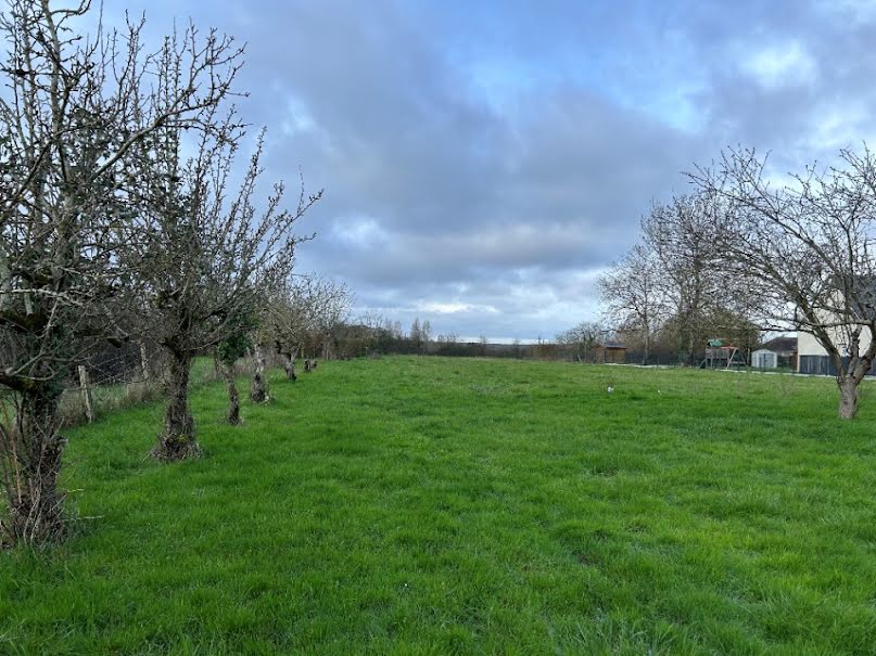 Vente terrain  1000 m² à Luynes (37230), 150 000 €