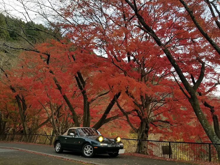 ロードスターのドライブに関するカスタム事例の投稿画像1枚目