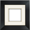 Aviary Frames: Original icon