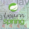 Learn Spring - Java Framework icon