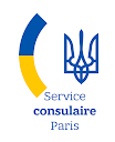 Виїзне консульське обслуговування logo