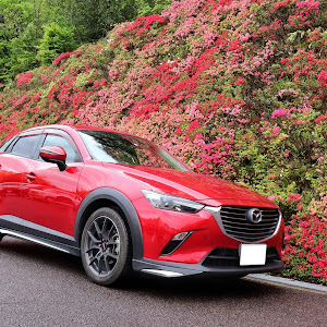 CX-3 DK5FW