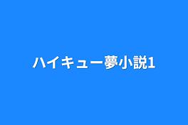 ハイキュー夢小説1