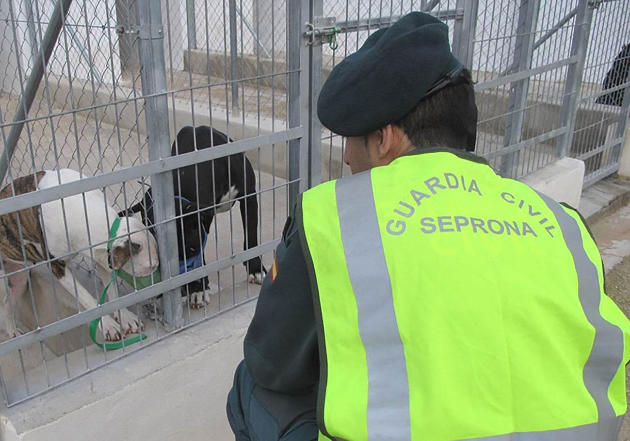 Resultado de imagen de falsa veterinaria sacrifica a mas de 500 animales