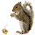 Squirrel HD Wallpaper Cute Squirrels New Tab