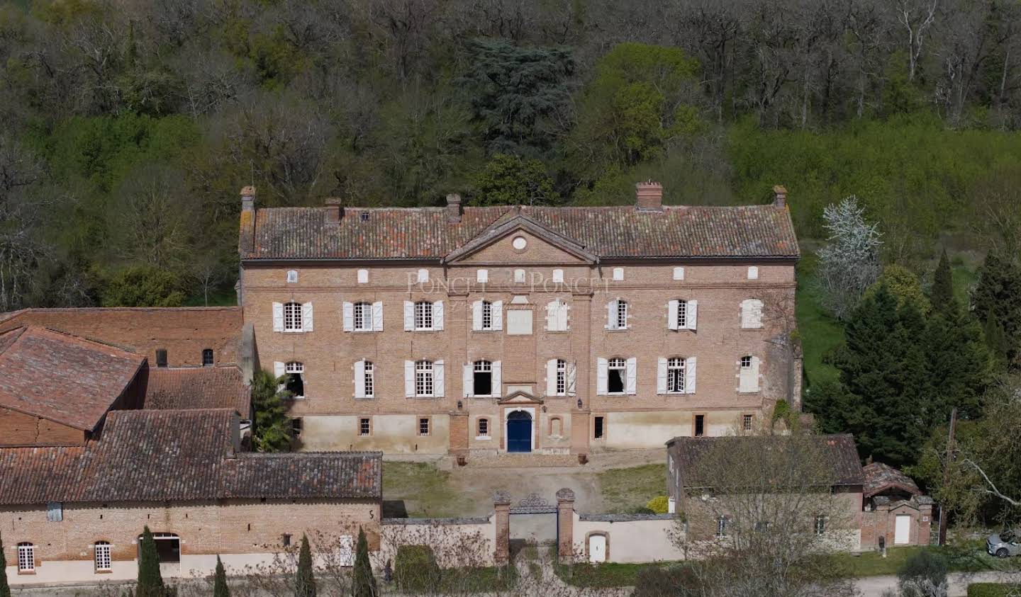 Castle Toulouse