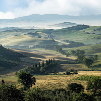 Verde movimentato! di Scaccia