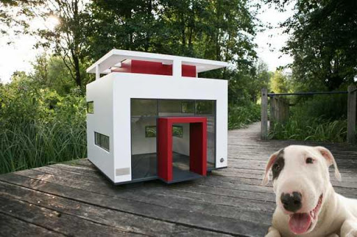 Pet House Design