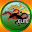 VIP Race Tipster Download on Windows