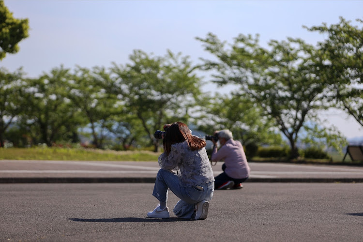 の投稿画像3枚目