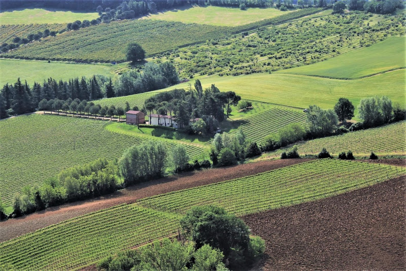 Il verde dell'Emilia di paolo-spagg