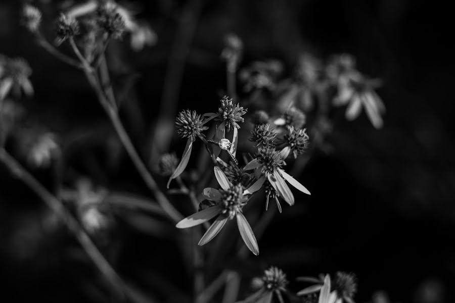 Bröllopsfotograf Cayla Hutchinson (caylahutchinson). Foto av 9 september 2019