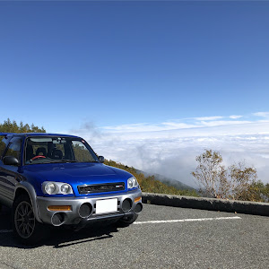 RAV4 L SXA10G