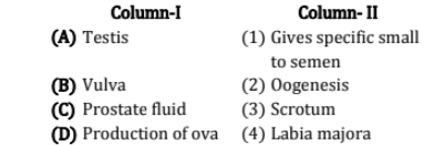 Female Reproductive System