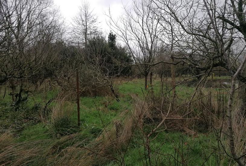  Vente Terrain à bâtir - à Saint-Hilaire-de-Clisson (44190) 