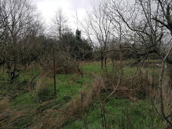 terrain à Saint-Hilaire-de-Clisson (44)