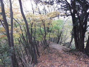 尾根沿いに汗フキ峠へ