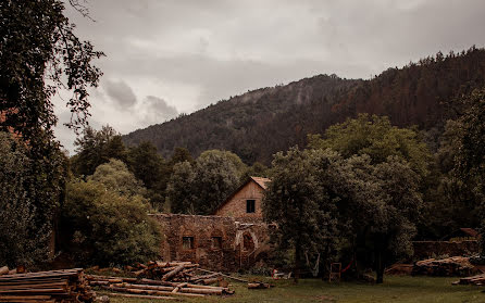 Photographe de mariage Pavlina Golasowska (pgolasowska). Photo du 8 août 2020