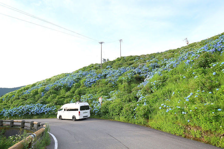ハイエース スーパーロングのハイエーススーパーロング・キャンピングカー・一眼レフ・紫陽花・星空に関するカスタム事例の投稿画像8枚目