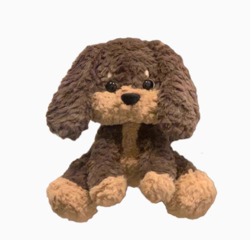Dachshund