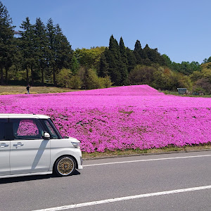 タントカスタム LA600S