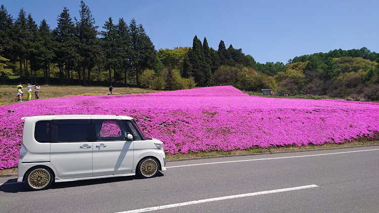 の投稿画像1枚目