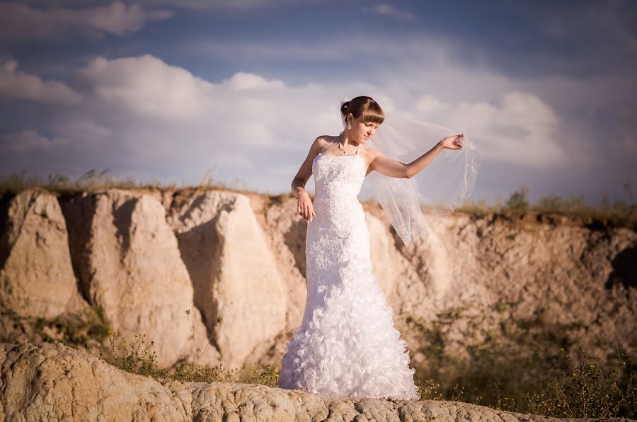 Wedding photographer Vasiliy Balabolka (vasiliyb). Photo of 23 March 2014