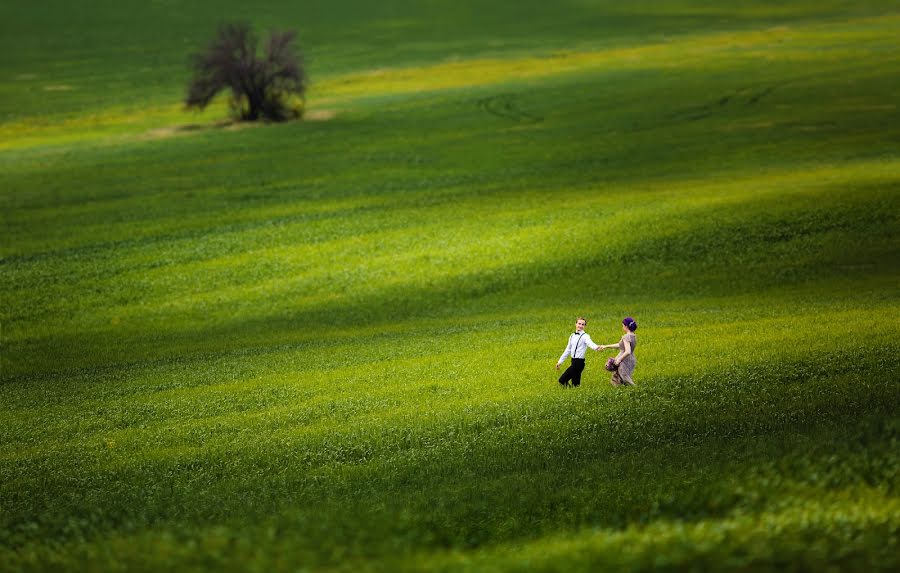 Fotografo di matrimoni Tatyana Kozhukhar (tmkozhukhar). Foto del 4 luglio 2017