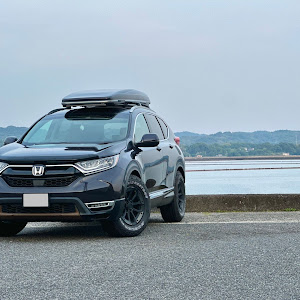 CR-V RT5