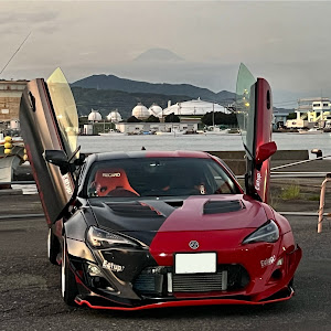86 ZN6
