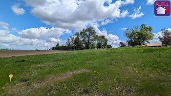 terrain à Nailloux (31)