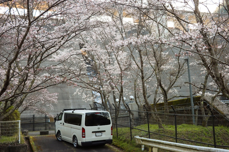 の投稿画像2枚目