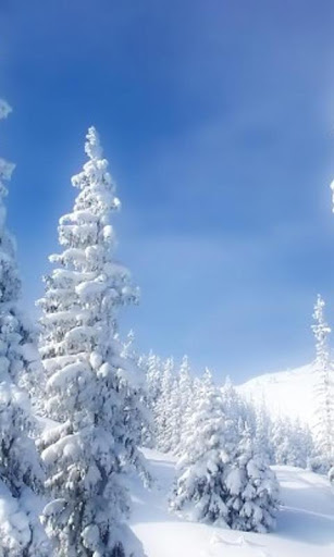 冬の風景の壁紙