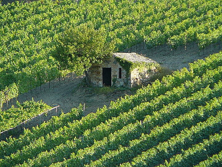 Posizione invidiabile di  cristina masoni