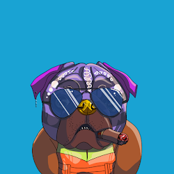 Top Dog #3464