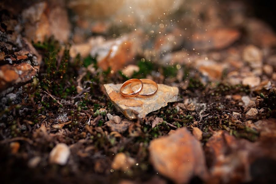 Huwelijksfotograaf Viktoriya Bardo (bardov). Foto van 30 juli 2019